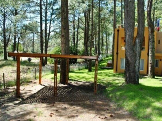 Pelicano Carilo - Photo2
