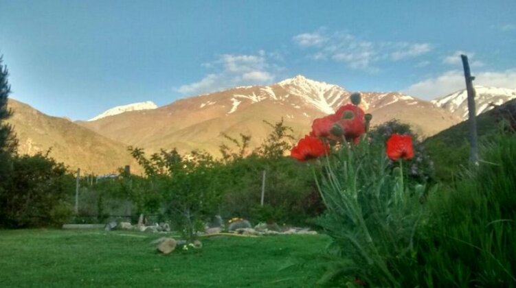 La Araucaria Potrerillos - Photo5