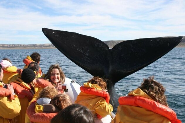 Bahia Delfines - Photo2