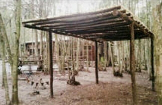 Casita en el Bosque - Photo5