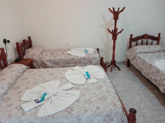 Hotel Newen - Photo4