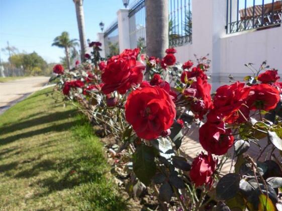 Garden House Hotel Rio Cuarto - Photo4