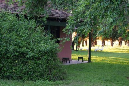 Haras Maguill