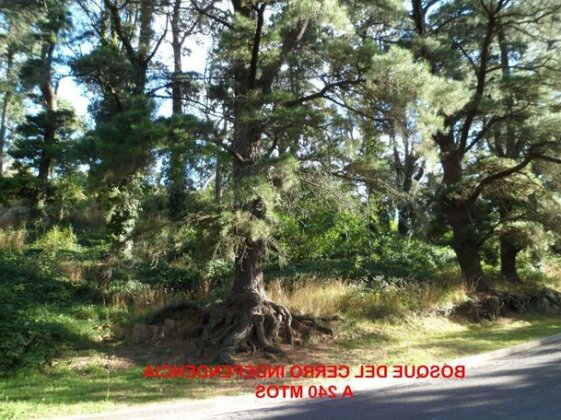 El Mirador de Tandil - Photo5