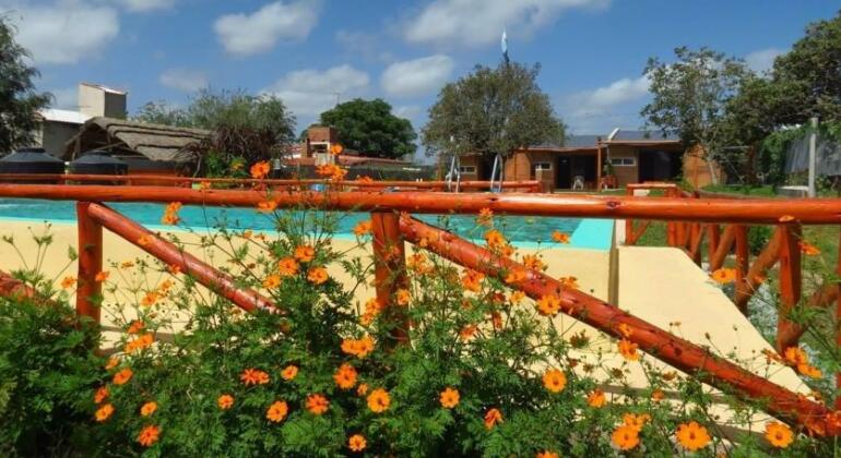 Complejo Cabanas Ceres - Photo4