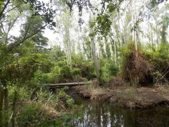 Isla Chamame - Photo4