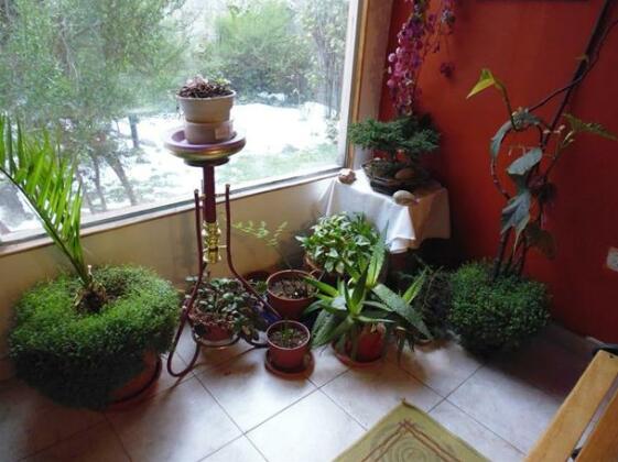Los Calafates B&B - Photo3