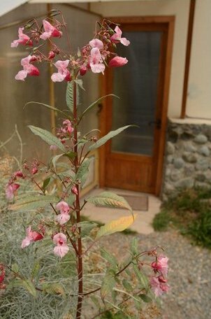 Posada Casa Terra - Photo2