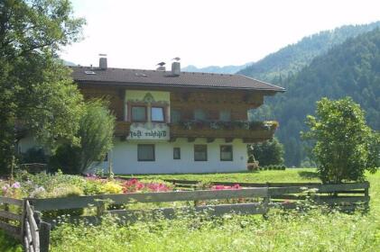 Bauernhof Tischlerhof