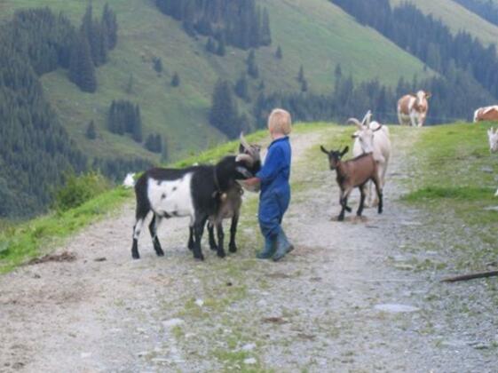 Bauernhof Ausser Rossmoos - Photo5