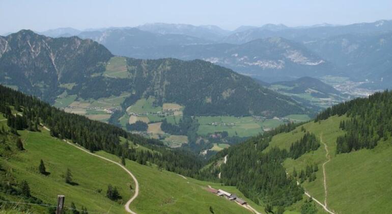 Haus Fernwald - Photo5