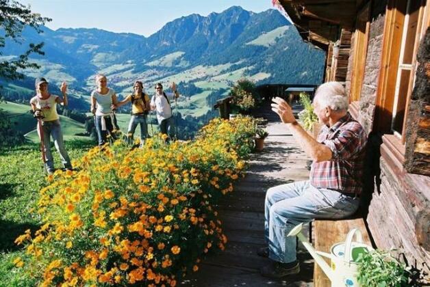 Haus Panorama Pension Alpbach - Photo3