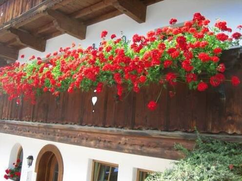 Haus Schonblick Alpbach - Photo2