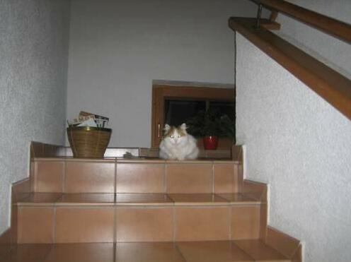 Haus Schonblick Alpbach - Photo3