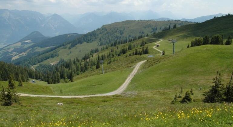 Hotel Moosanger - Photo2