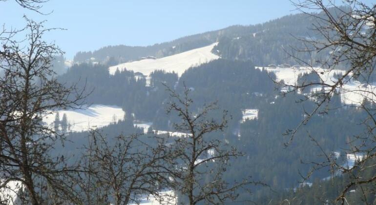 Brandstattgut - Photo4
