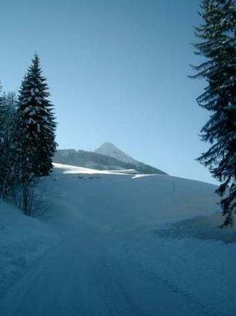 Gottfriedbauer - Photo3