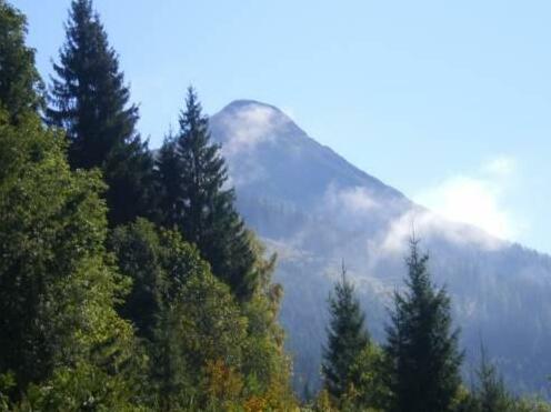 Gottfriedbauer - Photo4