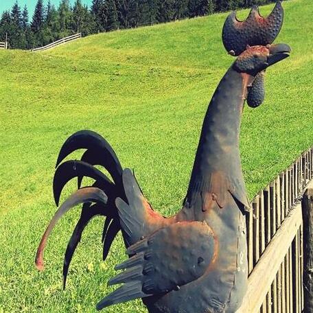 Hinterwiesgut - Photo3