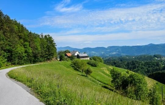 Hotel Pension Moosmann - Photo4