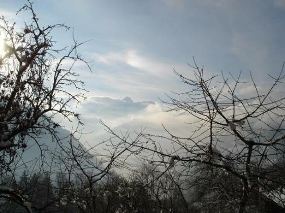 Haus Anna Aschau im Zillertal - Photo5