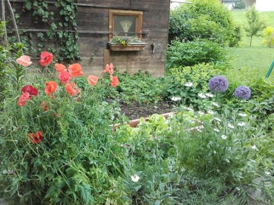 Haus Holaus - Photo3