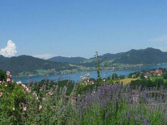 Pension Seeblick Attersee - Photo5