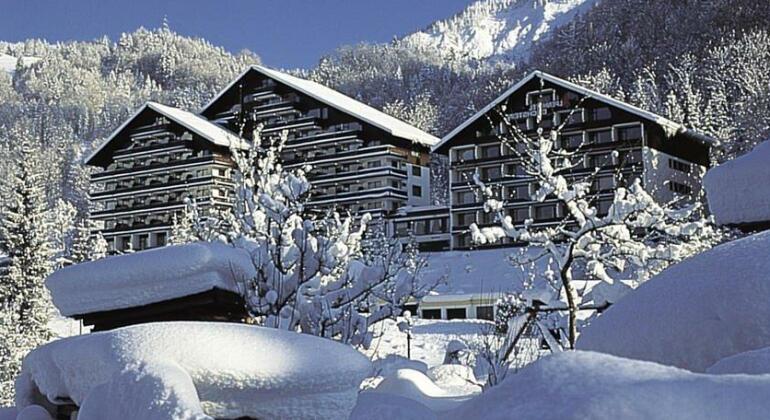 Alpenhotel Dachstein - Photo2