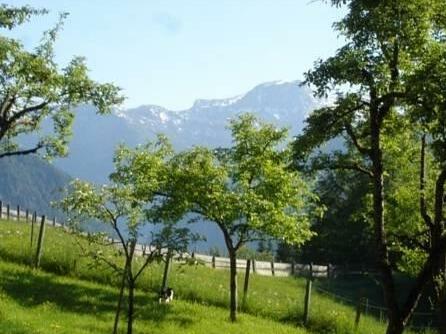 Ferienwohnung Prohaska Bad Goisern - Photo4