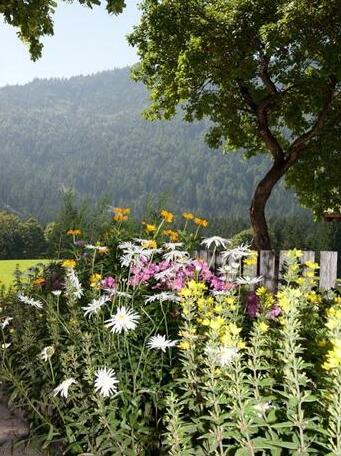 Reithartlhof - Photo3