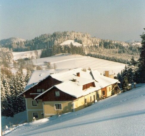 Bauernhof Kriechbaumer - Photo3