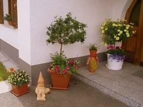 Apartment Eveline 2 - Photo5