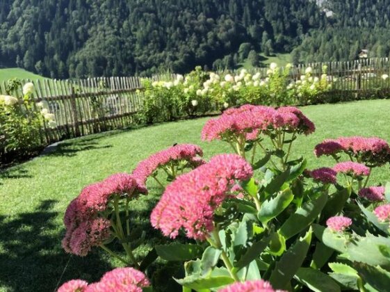 User Schlossle - Photo3