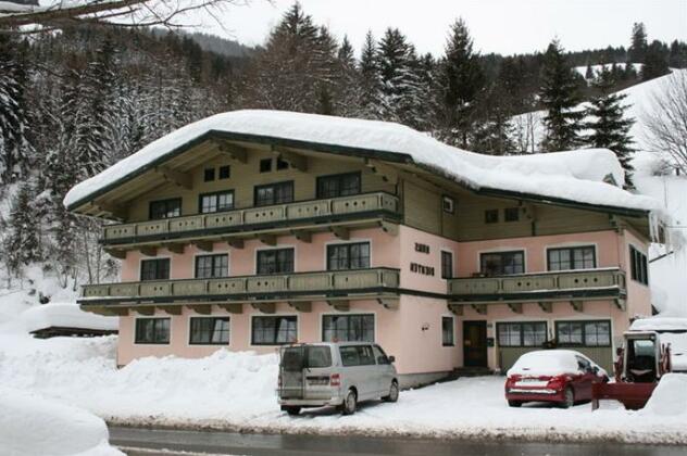 Apartment Klingspitze Dienten - Photo2