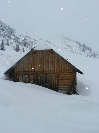 Haus Andrea Donnersbach - Photo2