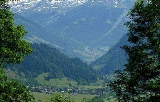 Landhotel Hauserbauer - Photo4