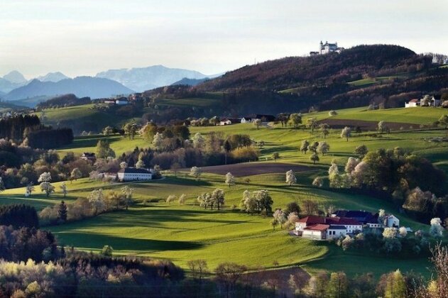 Landhotel Gafringwirt - Photo3