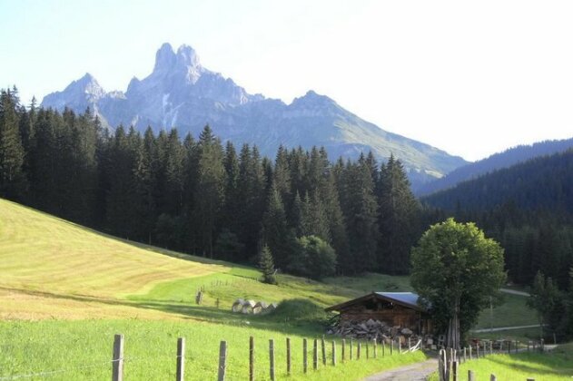 Aparthaus Birkenheim - Photo3