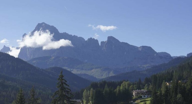 Ferienwohnung Bergblick Filzmoos - Photo5