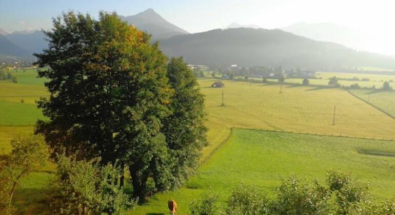Bauernhof Unterbichl - Photo4