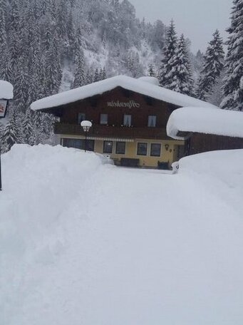 Haus Alpenheim Flachau - Photo2