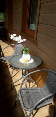 Haus Alpenheim Flachau - Photo4
