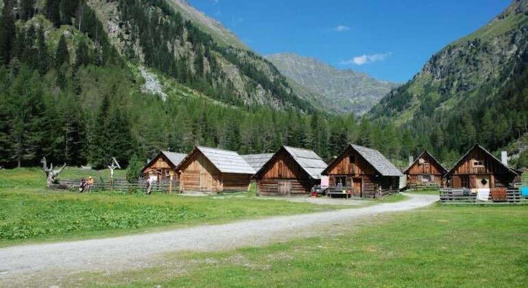 Landhotel Lacknerhof - Photo2