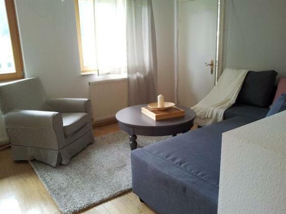 Chalet Edelweiss Gosau - Photo4