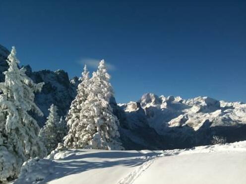Pension Gamsjaeger Gosau - Photo2