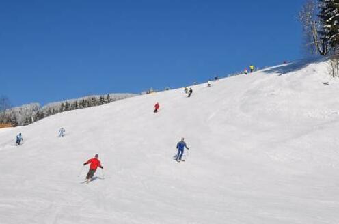 Pension Gamsjaeger Gosau - Photo3