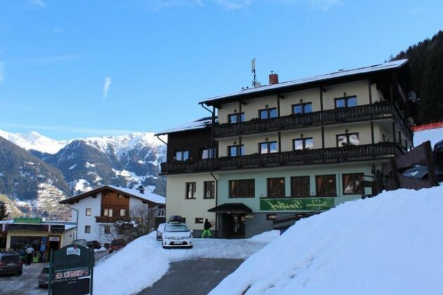 Pension Gemshorn - Photo2