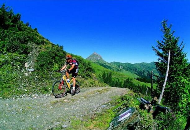 Bauernhof Zimmerod - Photo4