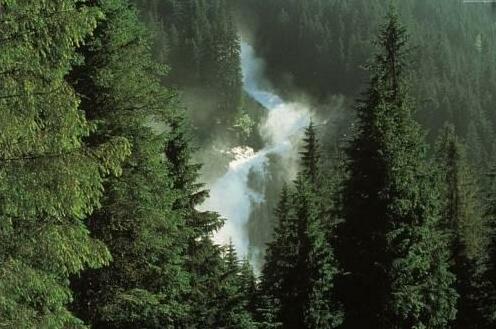 Steger - Photo4