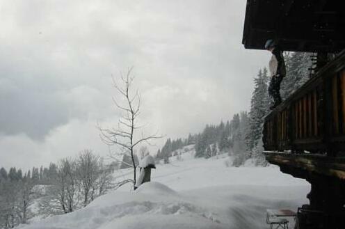 Chalet Hogleit - Photo4